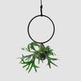 haussmann_blumenampel_plant_hanger_large.jpg